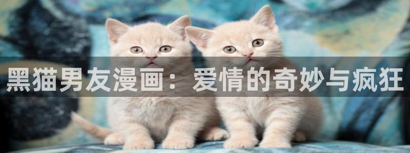 奇漫屋漫画天煞星免费观看最新章